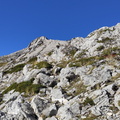 Espigüete (15)